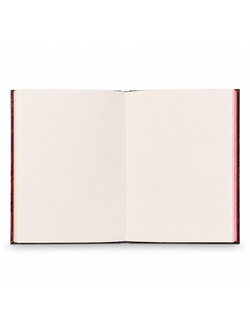 Sketchbook Rita Lee
