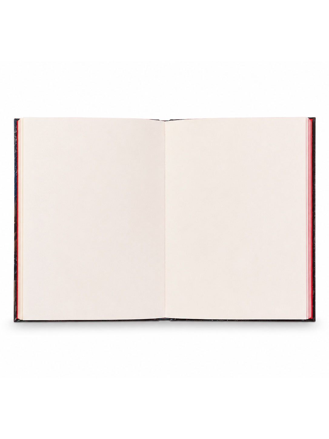 Sketchbook Rita Lee
